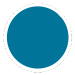 WordPress Development